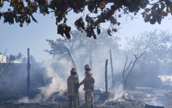 Bungalow Wisata di Sekotong Ludes Terbakar, Diduga Akibat Pembakaran Sampah