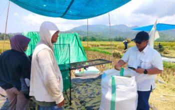 Bulog NTB Pastikan Stok Beras Aman Pasca Penetapan HET Baru Rp14.900 per Kg