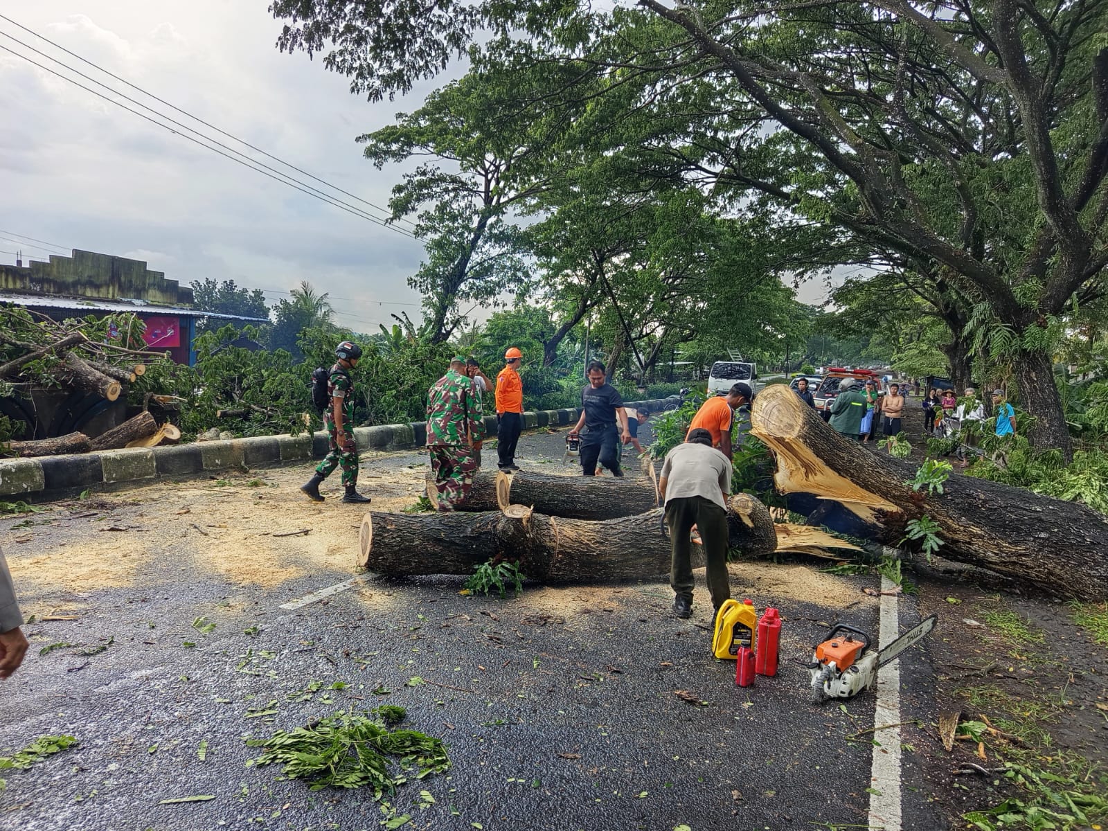 Cuaca Ekstrem Terjang Lombok Barat, Pohon Tumbang dan Rumah Warga Rusak Tertimpa Angin Kencang
