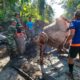 TMMD ke-126 Kodim 1606 Mataram Fokus Betonisasi Jalan Rawan Longsor di Giri Madia