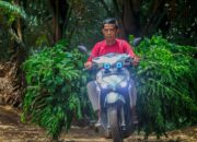 Warga Giri Madia Bersyukur TMMD Buka Akses Jalan Satu-Satunya yang Selama Ini Terisolasi