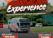Mandalika Experience: Sensasi Keliling Sirkuit MotoGP Pakai Bus Wisata, Tarif Mulai Rp300 Ribu
