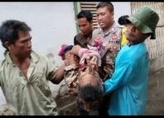 Tak Ingin ODGJ Terlantar, Bripka Agus Salim Inisiasi Yayasan Kemanusiaan di Lombok Timur