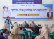 Pemprov NTB Perkuat SDM Petani Tembakau Lewat Bimtek Intensif