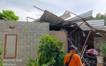 Angin Kencang Terjang Sumbawa Barat, Sejumlah Rumah Rusak dan Pohon Tumbang