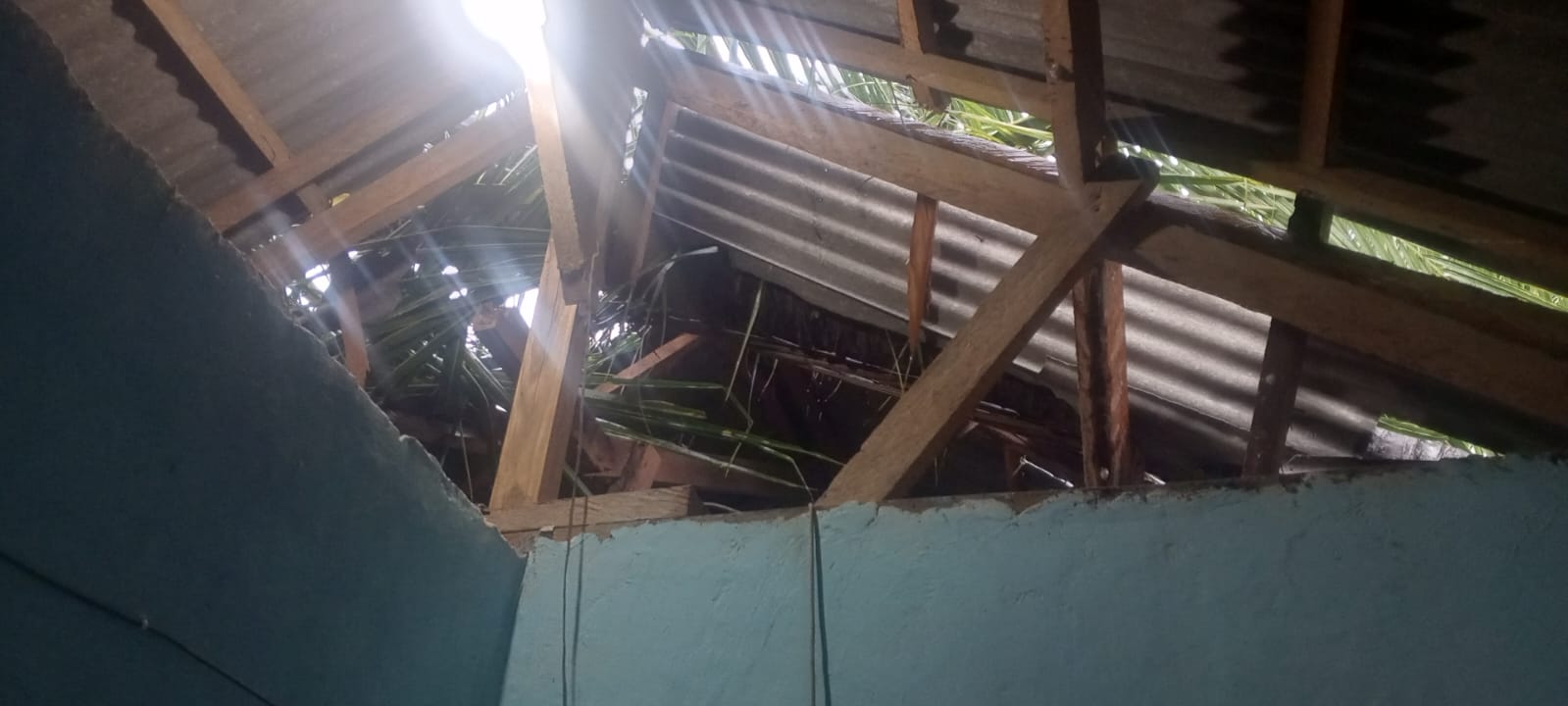 Cuaca Ekstrem Terjang Lombok Barat, Satu Rumah Rusak Parah Akibat Pohon Tumbang