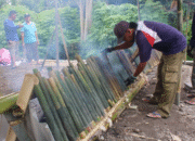 Warga Batu Kumbung Gelar Bakar Timbung Massal Jelang Panen, Tradisi Kuno yang Terus Dilestarikan