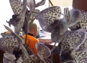 Ayah di Mataram Diduga Cabuli Anak Sendiri Selama16 Tahun