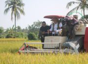 Panen Raya Perdana di NTB, BULOG Mulai Serapan 4 Juta Ton Gabah Nasional