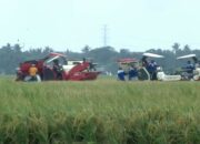 Dari Lombok Barat, Prabowo Resmikan Kembalinya Swasembada Pangan Nasional