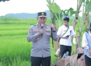 Kapolda NTB Siap Dukung Ketahanan Pangan