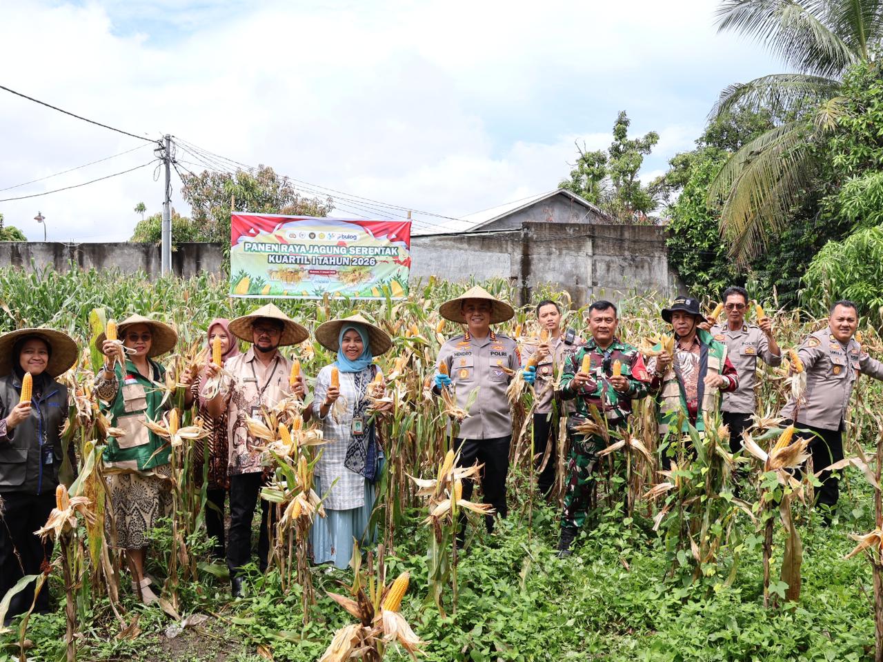 Sinergi Polri-TNI dan Petani, Kapolresta Mataram Pimpin Panen Jagung Nasional