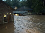 Hujan Lebat Picu Banjir Sekotong, Ratusan KK Terdampak