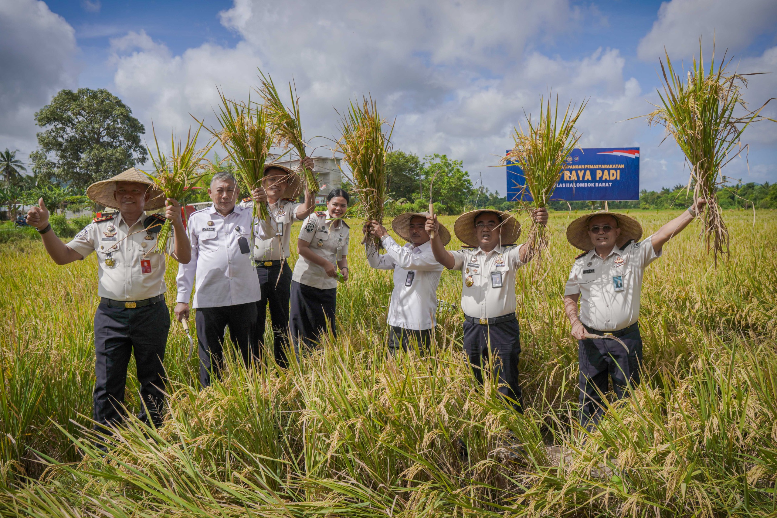 Dari Balik Lapas, Warga Binaan Lombok Barat Panen Padi dan Sayur 4 Ton