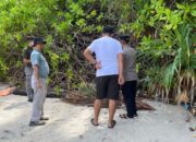 Polres Lombok Utara: Perempuan Meninggal di Pantai Nipah Bukan Korban Kejahatan
