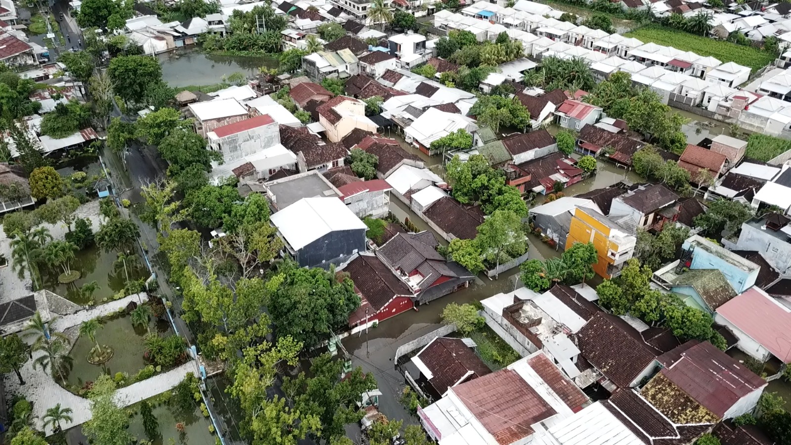 Hujan Dua Hari, Desa Perampuan Lombok Barat Dikepung Banjir Kiriman