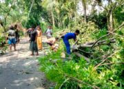 Cuaca Ekstrem Terjang Lombok Barat, Ditpolairud Polda NTB Bantu Warga Evakuasi Pohon Tumbang