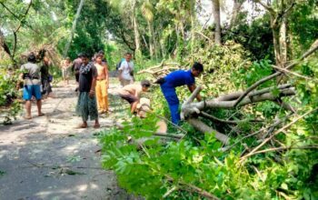 Cuaca Ekstrem Terjang Lombok Barat, Ditpolairud Polda NTB Bantu Warga Evakuasi Pohon Tumbang