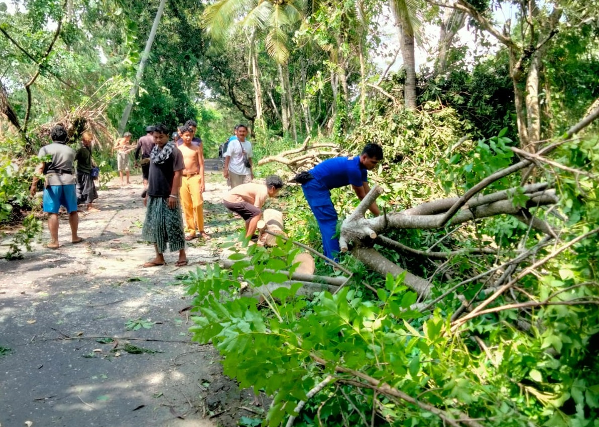 Cuaca Ekstrem Terjang Lombok Barat, Ditpolairud Polda NTB Bantu Warga Evakuasi Pohon Tumbang