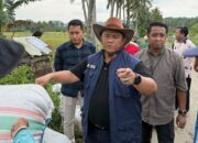 NTB Jadi Lumbung Nasional, Bulog Targetkan Serapan 240.660 Ton Beras 2026