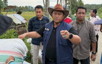 NTB Jadi Lumbung Nasional, Bulog Targetkan Serapan 240.660 Ton Beras 2026