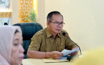 BRIDA NTB Uji Inovasi ASN, Tata Kelola Data dan Layanan Ibu Nifas Jadi Sorotan