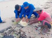 Aksi Polisi Laut NTB di Sumbawa Barat: Selamatkan Penyu Terjerat Tali