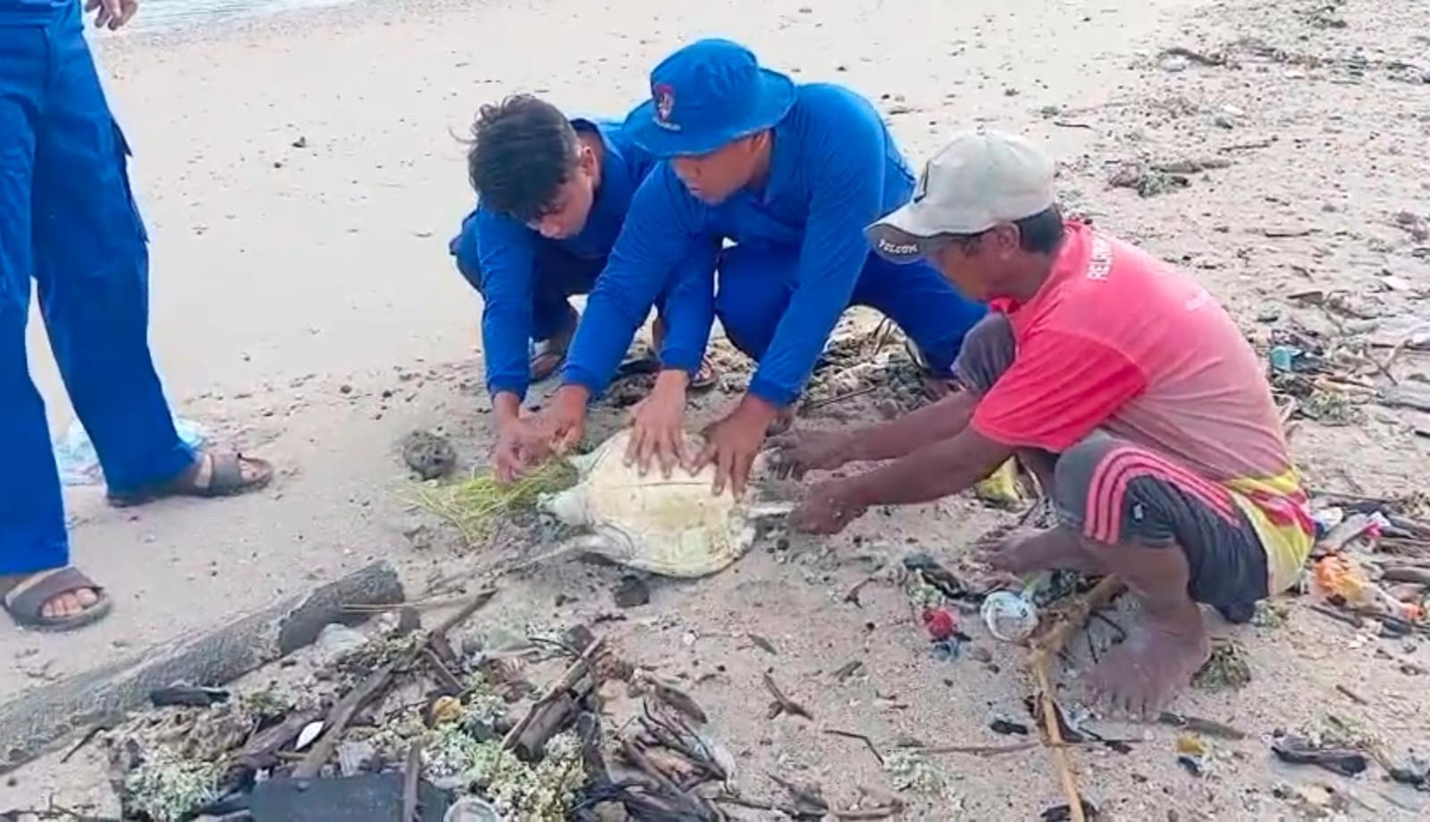 Aksi Polisi Laut NTB di Sumbawa Barat: Selamatkan Penyu Terjerat Tali