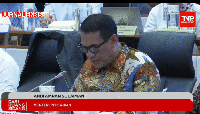 Rapat dengan DPR, Mentan Usulkan Rp5,1 Triliun untuk Pemulihan Pertanian Terdampak Bencana