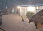 Banjir Bandang Sekotong Lombok Barat: 1 Tewas, 1 Rumah Hanyut