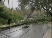 Cuaca Ekstrem di NTB, Angin Kencang Robohkan 12 Tiang Listrik