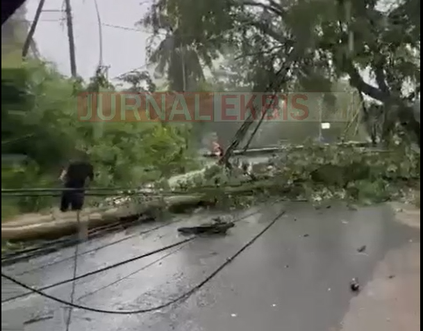 Cuaca Ekstrem di NTB, Angin Kencang Robohkan 12 Tiang Listrik