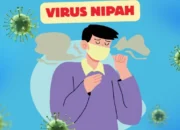 Mengenal Virus Nipah, Penyakit Zoonosis Mematikan dengan Gejala Awal Mirip Flu