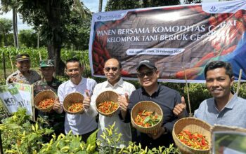 Tekan Lonjakan Harga Ramadan, BI NTB Hadiri Panen Cabai di Lombok Utara
