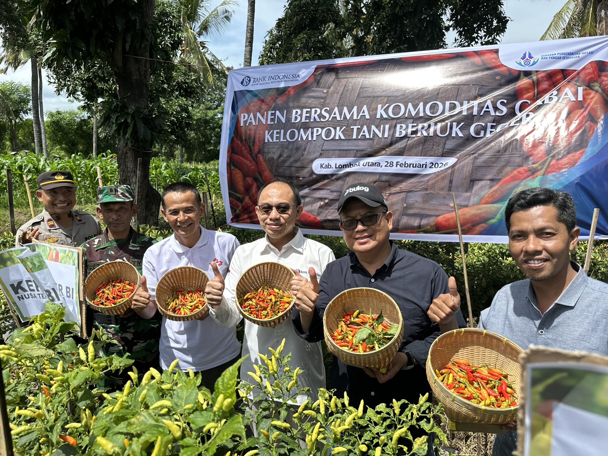 Tekan Lonjakan Harga Ramadan, BI NTB Hadiri Panen Cabai di Lombok Utara
