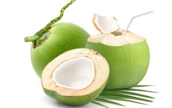 Kenapa Air Kelapa Muda Baik untuk Berbuka? Ini Penjelasan Dokter Gizi