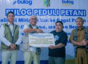 Hadapi Cuaca Ekstrem, BULOG Mulai Asuransi Parametrik untuk Petani NTB