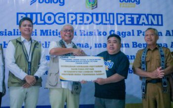 Hadapi Cuaca Ekstrem, BULOG Mulai Asuransi Parametrik untuk Petani NTB