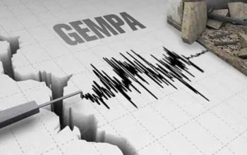 Gempa M3,6 Guncang Sumbawa Besar, Getaran Terasa hingga Kota Bima