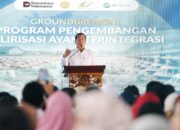 Industri Perunggasan Terintegrasi Dibangun di Sumbawa, Iqbal: NTB Harus Kuasai Hulu–Hilir