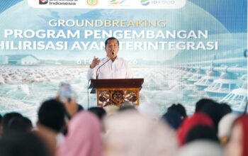 Industri Perunggasan Terintegrasi Dibangun di Sumbawa, Iqbal: NTB Harus Kuasai Hulu–Hilir