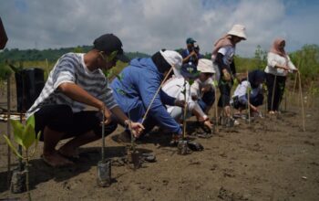 Bulan K3 2026, Pertamina Patra Niaga Hijaukan Sekotong dengan 1.000 Mangrove