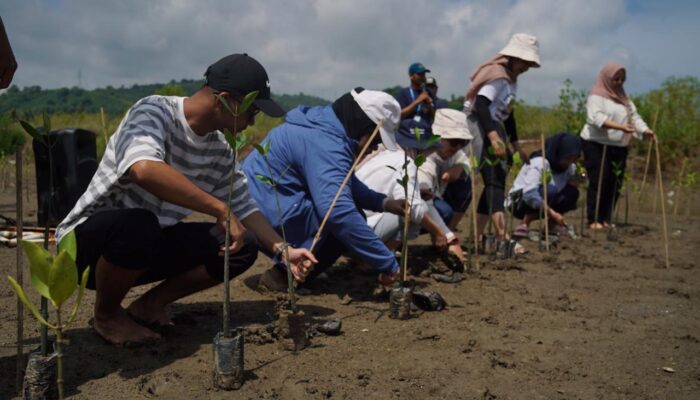 Bulan K3 2026, Pertamina Patra Niaga Hijaukan Sekotong dengan 1.000 Mangrove