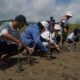 Bulan K3 2026, Pertamina Patra Niaga Hijaukan Sekotong dengan 1.000 Mangrove