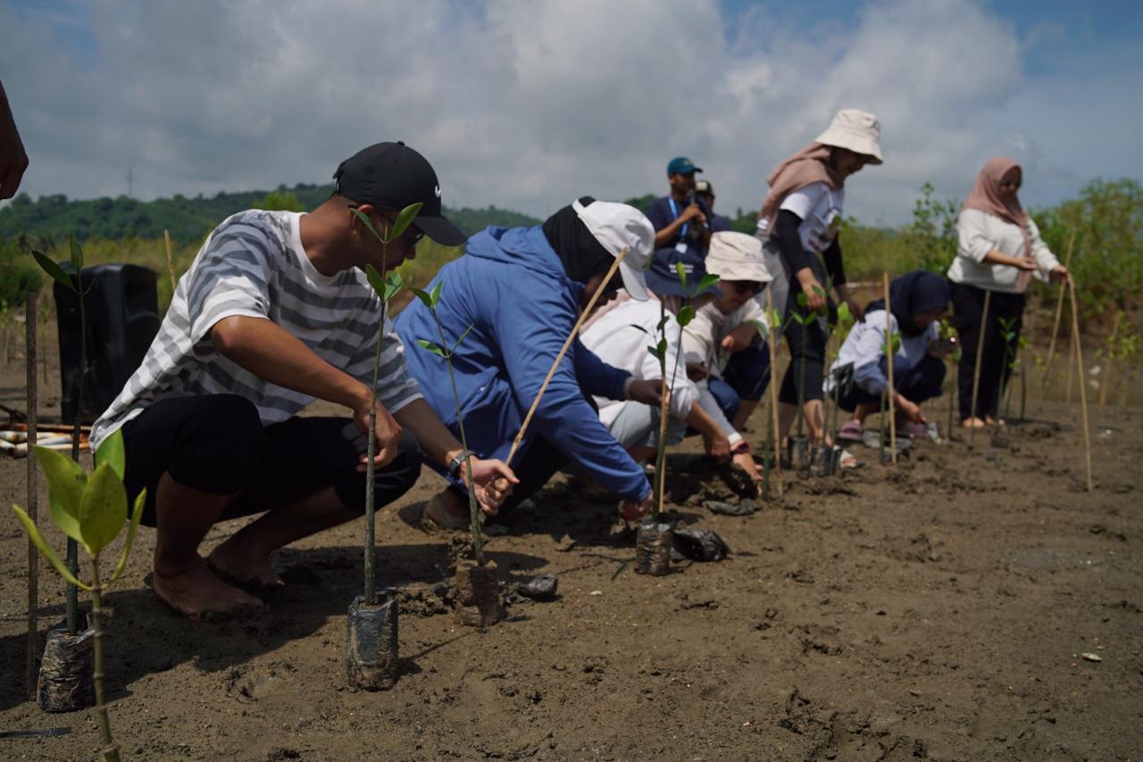 Bulan K3 2026, Pertamina Patra Niaga Hijaukan Sekotong dengan 1.000 Mangrove