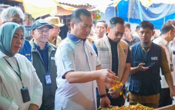 Harga Cabai Rawit Rp200 Ribu di Lombok? Pemprov NTB Buka Data Sebenarnya