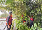 Bocah 4 Tahun Hanyut di Drainase Depan SDN 1 Selong, Tim SAR Lakukan Pencarian
