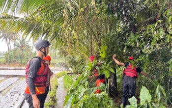 Bocah 4 Tahun Hanyut di Drainase Depan SDN 1 Selong, Tim SAR Lakukan Pencarian