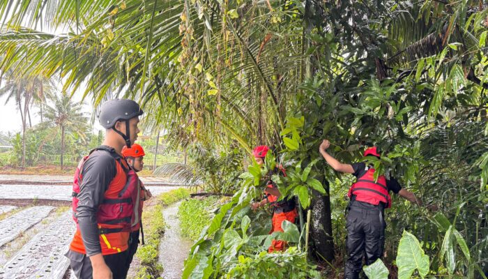 Bocah 4 Tahun Hanyut di Drainase Depan SDN 1 Selong, Tim SAR Lakukan Pencarian