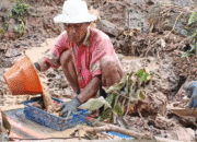 Demam Emas di Lombok Tengah, Ratusan Warga Padati Sungai Desa Serage